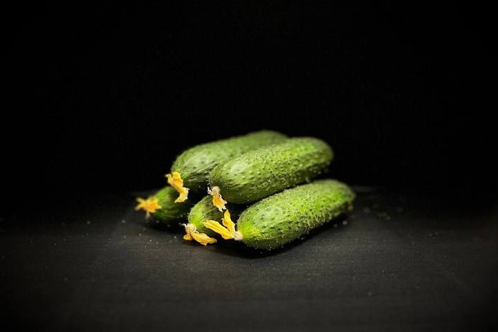 Огурец короткоплодный